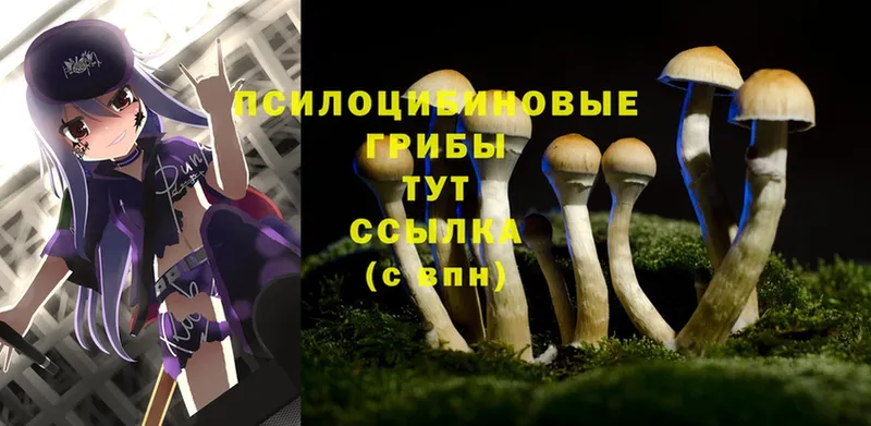 что такое   Бавлы  сайты даркнета какой сайт  Галлюциногенные грибы Magic Shrooms 